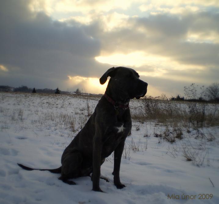 Mia únor 2009 010 6.jpg