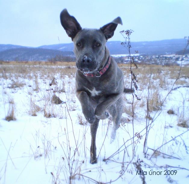 Mia únor 2009 017 3.jpg