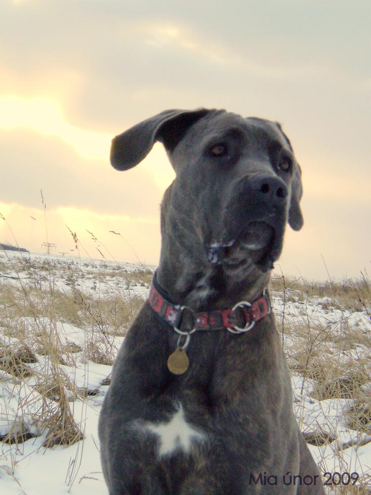Mia únor 2009 022 5.jpg