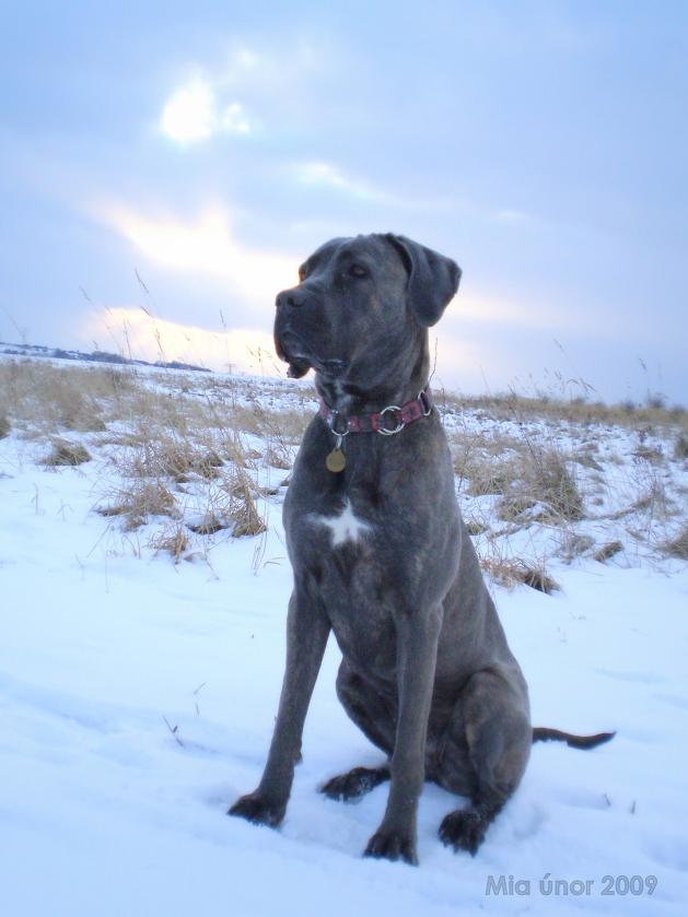 Mia únor 2009 023 2.jpg